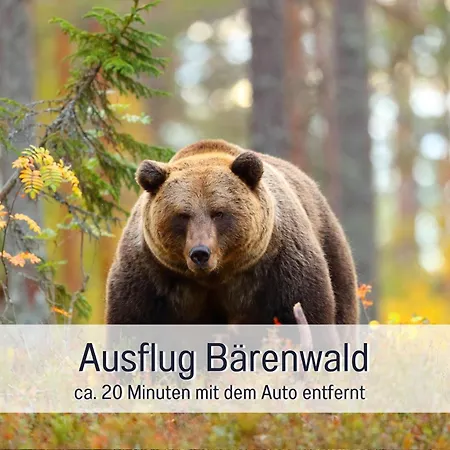 Дом отдыха Strandhaus Mathea - Ruhige Lage Direkt Am Fleesensee - Parkplatz, Kamin, Sauna - Familienfreundlich Унтер-Гохрен